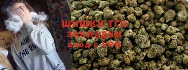 гидра Надым