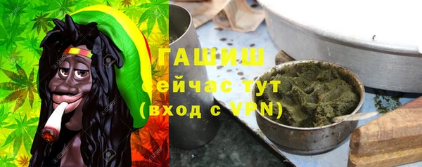 гидра Надым