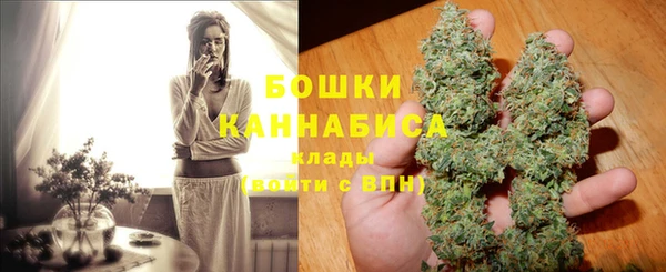 гидра Надым