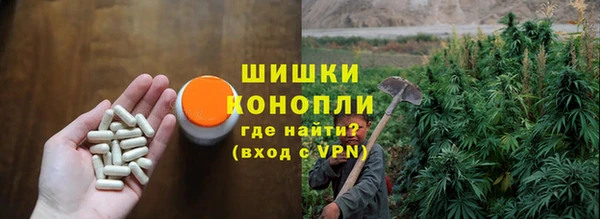 гидра Надым