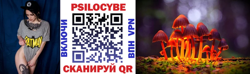 Купить закладки  Лукоянов  Псилоцибиновые грибы мухоморы 